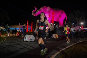 BIB: 
                            <button type="button" onclick="openModal(26552163)" class="btn btn-primary btn-sm float-right btn-popup" data-toggle="modal" data-target=".modal-high-quality">
                        <i class="fas fa-shopping-cart"></i> Add to Cart
                    </button>
                                            <button type="button" onclick="isThisMe(26552163, true)" class="btn btn-success btn-sm float-right btn-popup btn-isme hidden" data-toggle="tooltip" data-placement="bottom" title="นี่คือรูปของคุณใช่ไหม คลิกที่นี่เพื่อเอาเข้าอัลบั้ม">
                        <i class="fas fa-plus"></i> Add to album
                    </button>
                    <button type="button" onclick="isThisMe(26552163, false)" class="btn btn-warning btn-sm float-right btn-popup btn-isnotme hidden">
                        <i class="fas fa-ban"></i> Remove from album
                    </button>